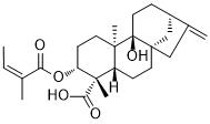 3α-Angeloyloxypterokaurene L3图片