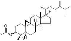 24-Ǽ׻촼ͼƬ