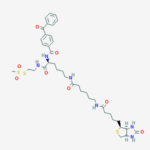 2-[Nα-Benzoylbenzoicamido-N6-(6-biotinamidocaproyl)-L-lysinylamido]ethyl Methanethiosulfonate图片