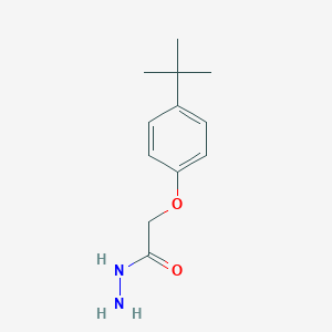 2-(4-tert-butylphenoxy)acetohydrazideͼƬ