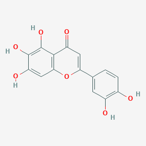 6-HydroxyluteolinͼƬ