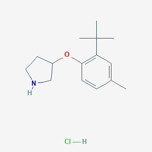 3-[2-(tert-Butyl)-4-methylphenoxy]pyrrolidinehydrochlorideͼƬ