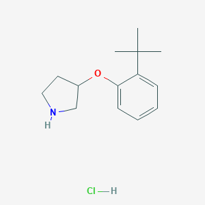 3-[2-(tert-Butyl)phenoxy]pyrrolidine hydrochlorideͼƬ