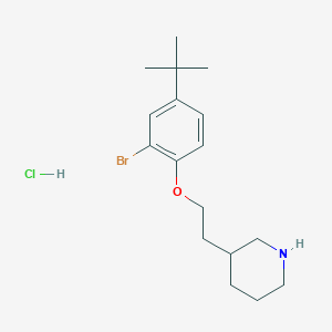 3-{2-[2-Bromo-4-(tert-butyl)phenoxy]-ethyl}piperidine hydrochlorideͼƬ