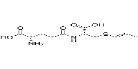 -Glutamyl-S-1-propenyl cysteineͼƬ