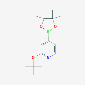 2-t-Butoxypyridine-4-boronic acid pinacol esterͼƬ