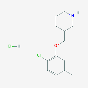 2-Chloro-5-methylphenyl3-piperidinylmethylether HydrochlorideͼƬ