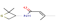 N-(2,2-dimethylthietan-3-yl)-3-methylbut-2-enamideͼƬ