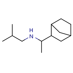 (1-{bicyclo[2,2,1]heptan-2-yl}ethyl)(2-methylpropyl)amineͼƬ