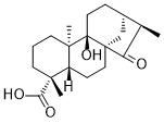 ent-9-Hydroxy-15-oxokauran-19-oic acidͼƬ