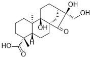 Pterisolic acid FͼƬ