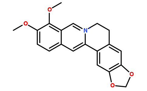 BerberineͼƬ
