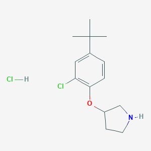 3-[4-(tert-Butyl)-2-chlorophenoxy]pyrrolidinehydrochlorideͼƬ