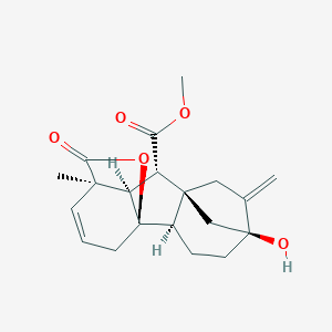 Gibberellin A5 Methyl EsterͼƬ