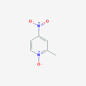 2-׻-4-ͼƬ