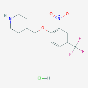 4-{[2-Nitro-4-(trifluoromethyl)phenoxy]-methyl}piperidine hydrochlorideͼƬ