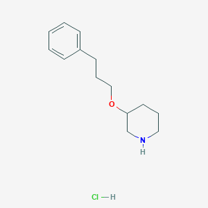 3-(3-Phenylpropoxy)piperidine hydrochlorideͼƬ