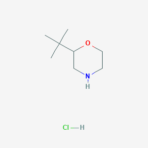 2-tert-butylmorpholine hydrochlorideͼƬ