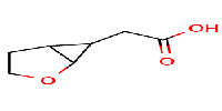 2-{2-oxabicyclo[3,1,0]hexan-6-yl}aceticacidͼƬ
