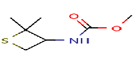 methylN-(2,2-dimethylthietan-3-yl)carbamateͼƬ