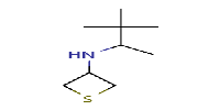 N-(3,3-dimethylbutan-2-yl)thietan-3-amineͼƬ