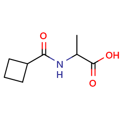 2-(cyclobutylformamido)propanoicacidͼƬ