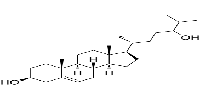 24-HydroxycholesterolͼƬ