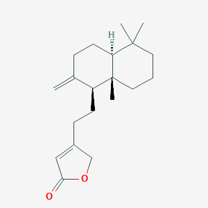 8(17),13-Labdadien-15,16-olideͼƬ