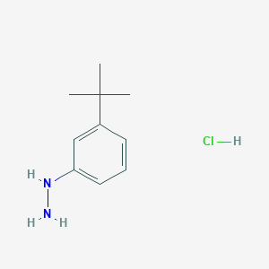 1-[3-(tert-butyl)phenyl]hydrazine hydrochlorideͼƬ