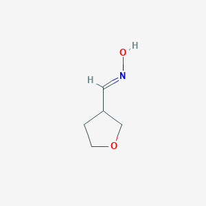 N-(oxolan-3-ylmethylidene)hydroxylamineͼƬ