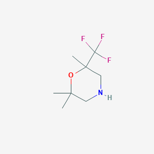 2,2,6-trimethyl-6-(trifluoromethyl)morpholineͼƬ