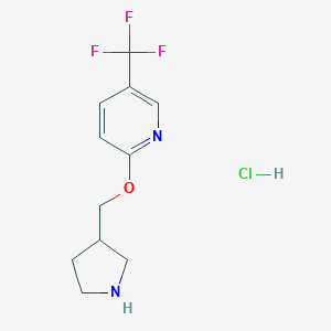 3-Pyrrolidinylmethyl 5-(trifluoromethyl)-2-pyridinyl ether hydrochloride图片