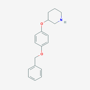 3-[4-(Benzyloxy)phenoxy]piperidineͼƬ