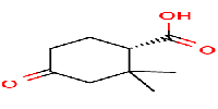 (1S)-2,2-dimethyl-4-oxocyclohexane-1-carboxylicacidͼƬ