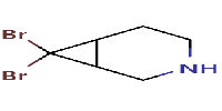 7,7-dibromo-3-azabicyclo[4,1,0]heptaneͼƬ