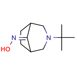 N-{3-tert-butyl-3-azabicyclo[3,2,1]octan-8-ylidene}hydroxylamineͼƬ