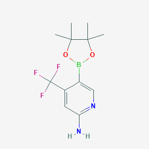 5-(tetramethyl-1,3,2-dioxaborolan-2-yl)-4-(trifluoromethyl)pyridin-2-amineͼƬ