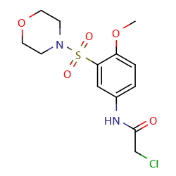 2-chloro-N-[4-methoxy-3-(morpholine-4-sulfonyl)phenyl]acetamideͼƬ