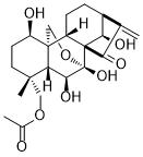 Xerophilusin GͼƬ