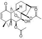 OdonicinͼƬ