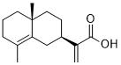 Isocostic acidͼƬ