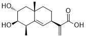 2α,3β-Dihydroxypterodontic acid图片