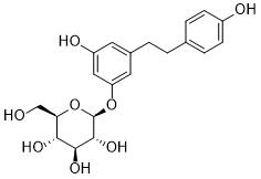 Dihydroresveratrol 3-O-glucosideͼƬ