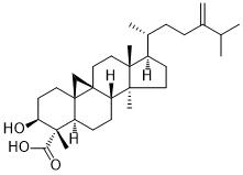 1-Dehydroxy-23-deoxojessicic acidͼƬ