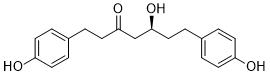 PlatyphyllonolͼƬ