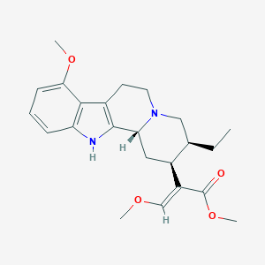 SpeciociliatineͼƬ