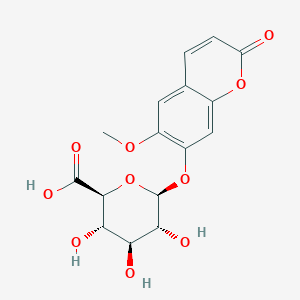 Scopoletin-D-GlucuronideͼƬ