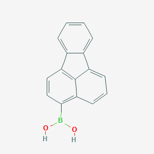 ӫ-3-ͼƬ