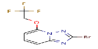 2-bromo-5-(2,2,2-trifluoroethoxy)-[1,2,4]triazolo[1,5-a]pyridineͼƬ