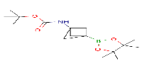 tert-butylN-(3-(4,4,5,5-tetramethyl-1,3,2-dioxaborolan-2-yl)bicyclo[1,1,1]pentan-1-yl)carbamateͼƬ